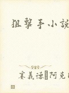 狙击手小说封面