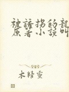 被诱拐的龙小说原著小说叫什么名字
