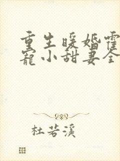 重生暖婚霍总狠宠小甜妻全文阅读封面