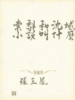 棠梨和沈域原著小说叫什么
