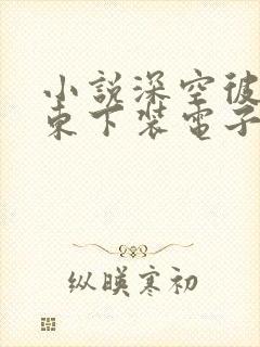 小说深空彼岸辰东下装电子书
