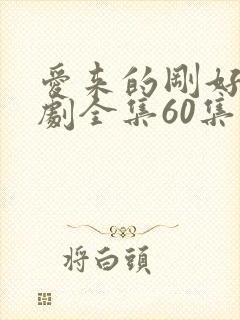 爱来的刚好电视剧全集60集封面