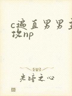 c遍直男男主总攻np