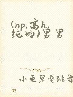 (np,高h,纯肉)男男