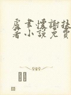 卢聿怀谢扶盈原著小说免费阅读封面