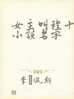 女主叫程十鸢的小说名字封面