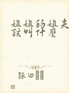 姐姐的姐夫我应该叫什么