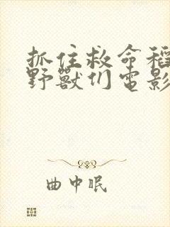 抓住救命稻草的野兽们电影完整版封面