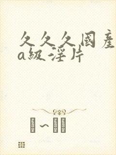 久久久国产aaa级淫片