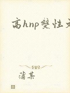 高hnp双性文