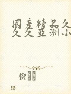 国产精品久久久久久亚洲小说