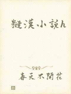 糙汉小说h