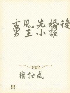 古风先婚后爱双男主小说