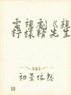 电视剧《亲爱的柠檬精先生》