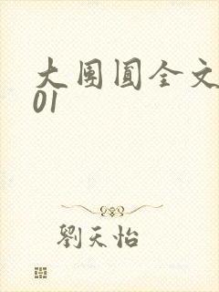 大团圆全文阅读01封面