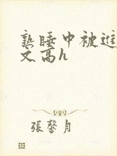 熟睡中被进了h文高h封面