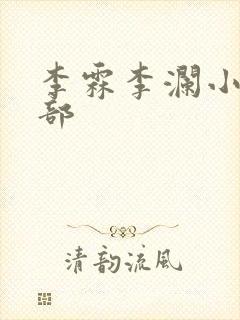 李霖李澜小说全部