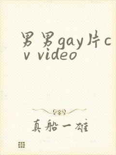 男男gay片cⅴvideo