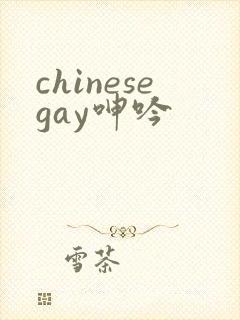 chinesegay呻吟