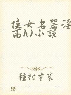 侠女名器淫史(高h)小说