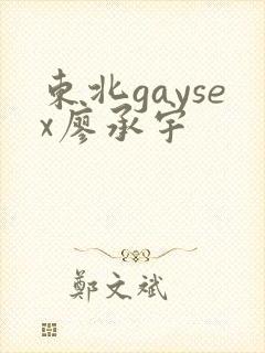 东北gaysex廖承宇