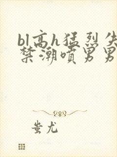 bl高h猛烈失禁潮喷男男
