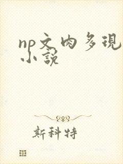 np文肉多现代小说