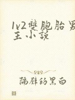 1v2双胞胎男主小说
