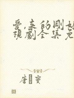 爱,来的刚好电视剧全集免费观看