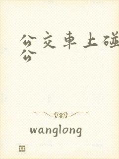 公交车上碰到公公