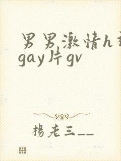 男男激情h视频gay片gv