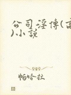 公司淫传(高h)小说
