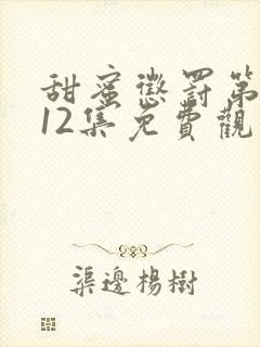 甜蜜惩罚第一季12集免费观看