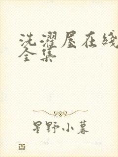 洗濯屋在线观看全集