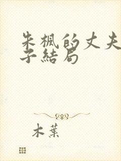 朱枫的丈夫和孩子结局封面
