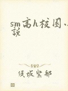sm高h校园小说封面