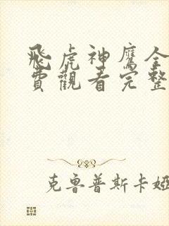 飞虎神鹰全集免费观看完整版