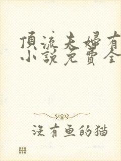 顶流夫妇有点甜小说免费全文笔趣阁封面