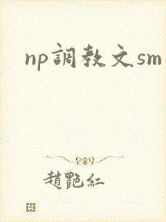 np调教文sm