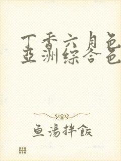 丁香六月色婷婷亚洲综合色封面
