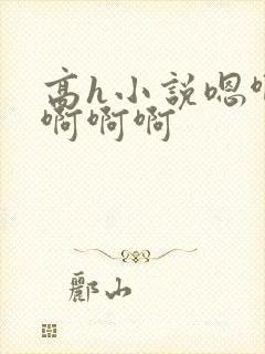 高h小说嗯啊哈啊啊啊