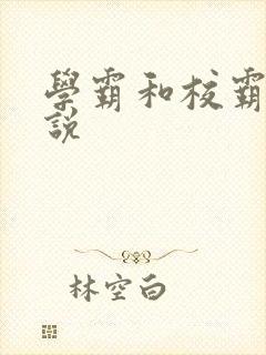 学霸和校霸的小说