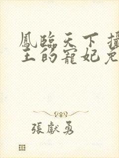 凤临天下 摄政王的宠妃免费阅读封面