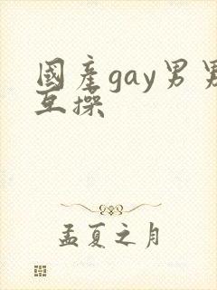 国产gay男男互操