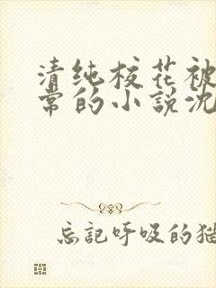 清纯校花被擒日常的小说沈柔