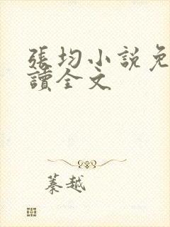 张均小说免费阅读全文