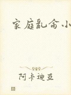 家庭乱仑小说