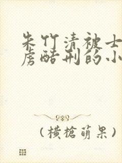 朱竹清被士兵俘虏酷刑的小说叫什么