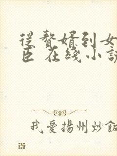 从赘婿到女帝宠臣 在线小说