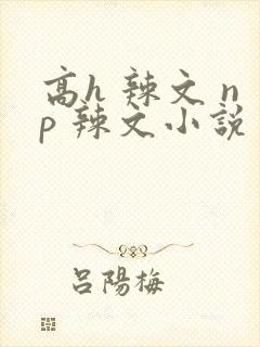 高h 辣文 np 辣文小说